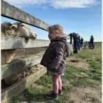 De Herderin en haar Schapen