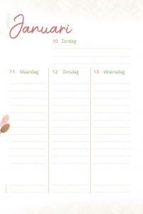 mockup 1
