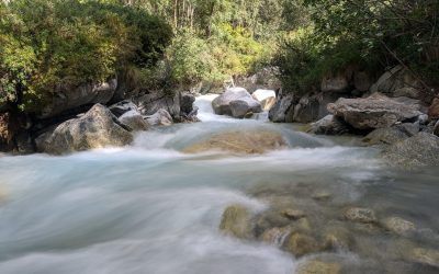 PXL_20240812_144425401.LONG_EXPOSURE-01.COVER