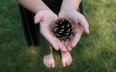 zomer deel 1 (56 van 63)